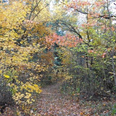 Trail-5_101812-1500x700