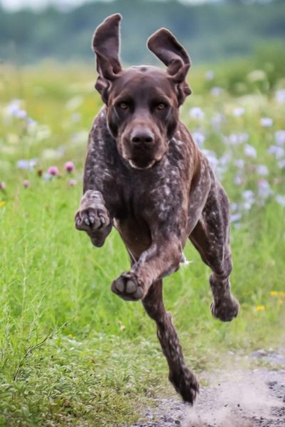 marie-pier-fillion-4LJ7rwcyvFM-unsplash